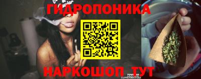 гашиш Тара