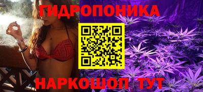 гашиш Тара