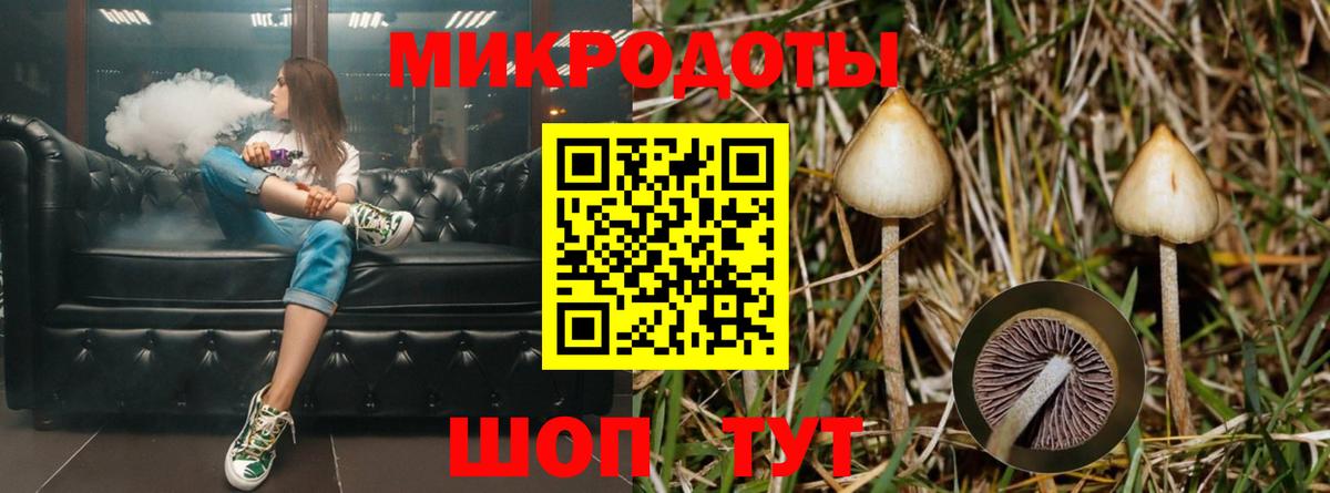 Нефтеюганск  Галлюциногенные грибы Cubensis  Вход с VPN 